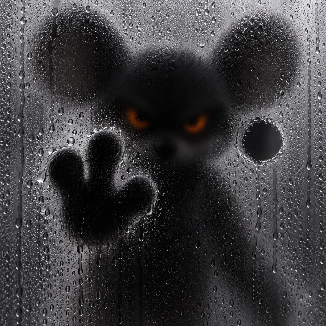 Anonymouse behind rain-covered glass